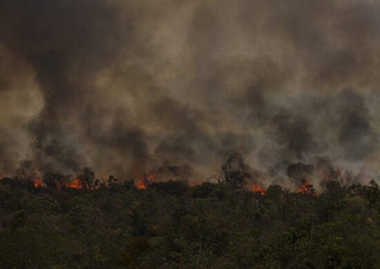 9 das 10 cidades são da Amazônia, e sete fazem parte da lista dos municípios com mais desmatamento neste ano, de acordo com dados do Inpe.