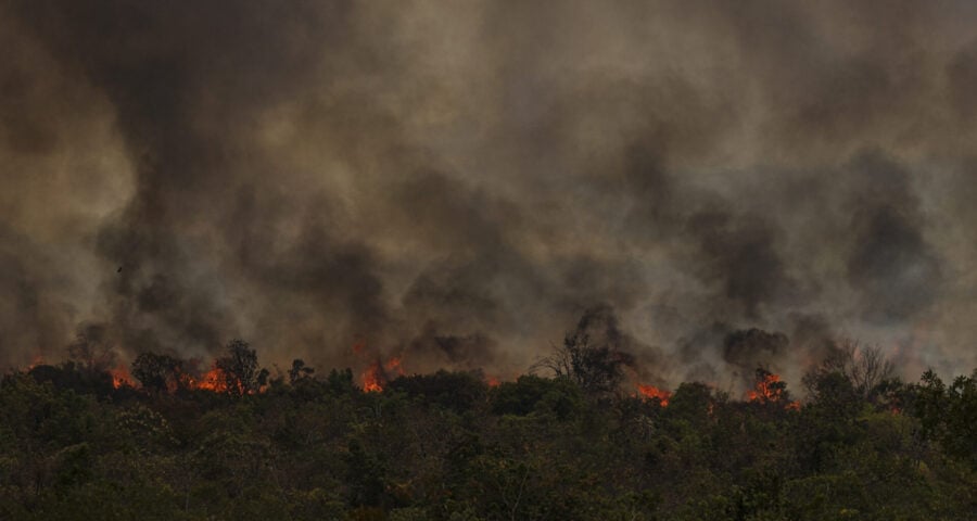 9 das 10 cidades são da Amazônia, e sete fazem parte da lista dos municípios com mais desmatamento neste ano, de acordo com dados do Inpe.