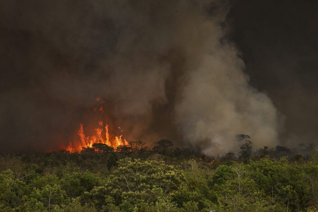 Brasil atinge recordes de focos de incêndios.