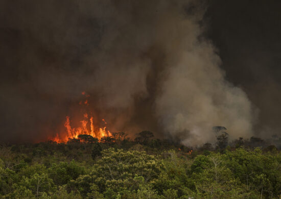 Brasil atinge recordes de focos de incêndios.