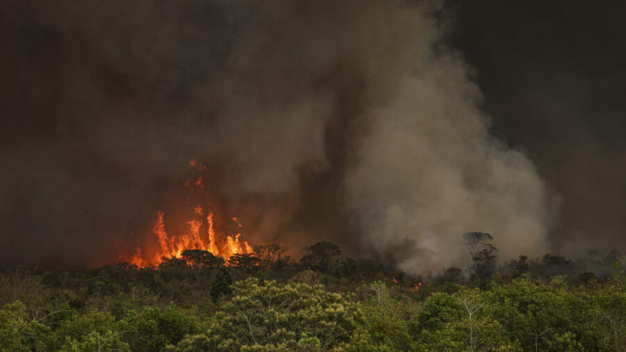 Brasil atinge recordes de focos de incêndios.