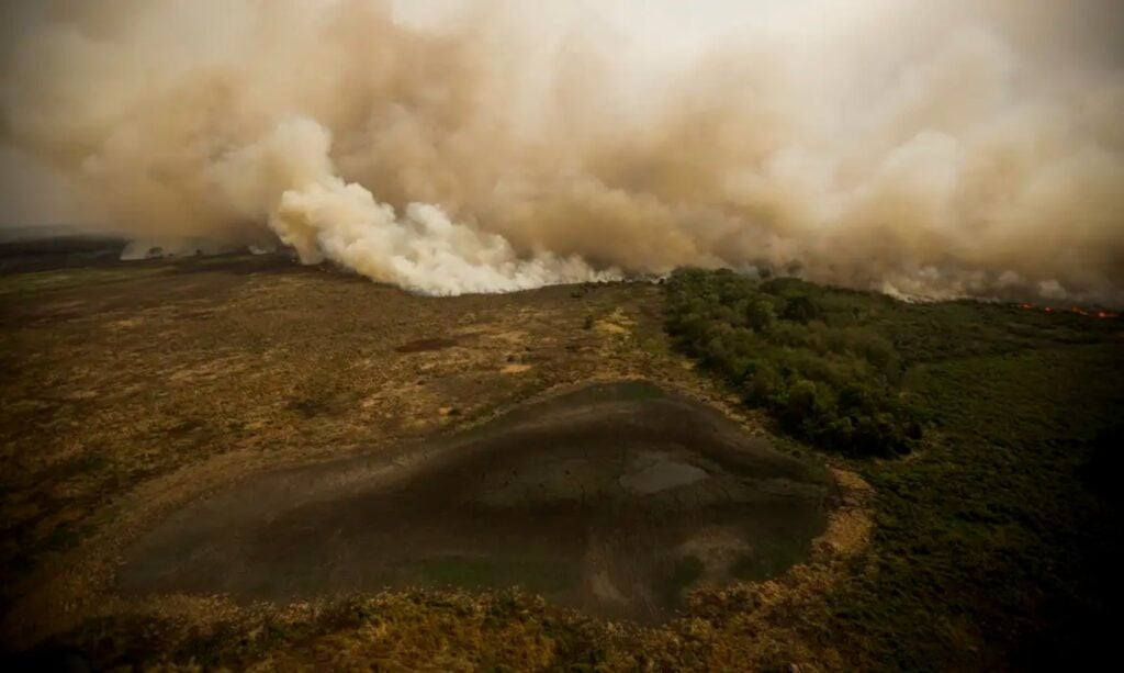 Incêndios na Amazônia devastam vegetação nativa