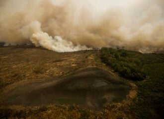 Governadores do Norte estão em Brasília para discutir incêndios no Pantanal e Amazônia.