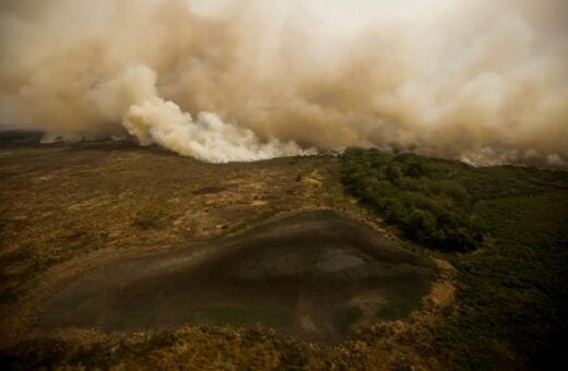 Governadores do Norte estão em Brasília para discutir incêndios no Pantanal e Amazônia.