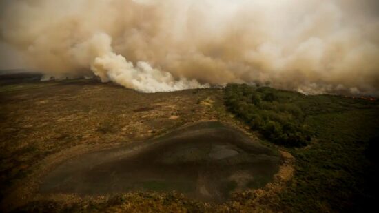 Governadores do Norte estão em Brasília para discutir incêndios no Pantanal e Amazônia.