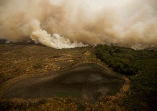 Governadores do Norte estão em Brasília para discutir incêndios no Pantanal e Amazônia.