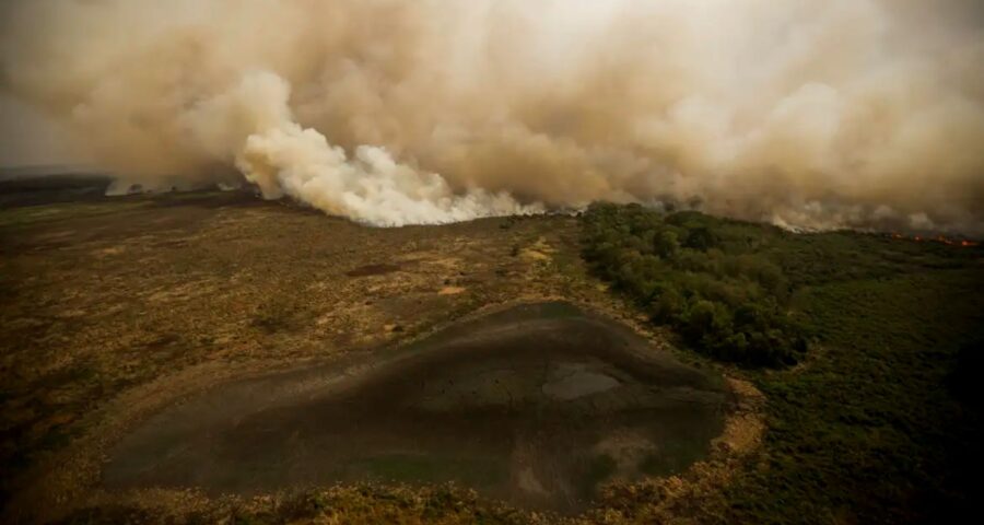 Governadores do Norte estão em Brasília para discutir incêndios no Pantanal e Amazônia.