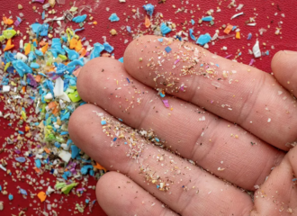 Microplásticos foram encontrados em cérebro humano pela primeira vez. Foto: Getty Images/Reprodução