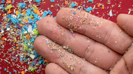 Microplásticos foram encontrados em cérebro humano pela primeira vez. Foto: Getty Images/Reprodução