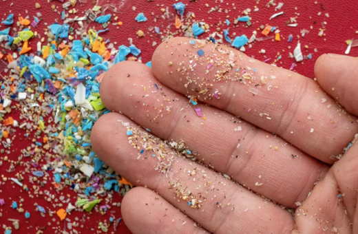 Microplásticos foram encontrados em cérebro humano pela primeira vez. Foto: Getty Images/Reprodução