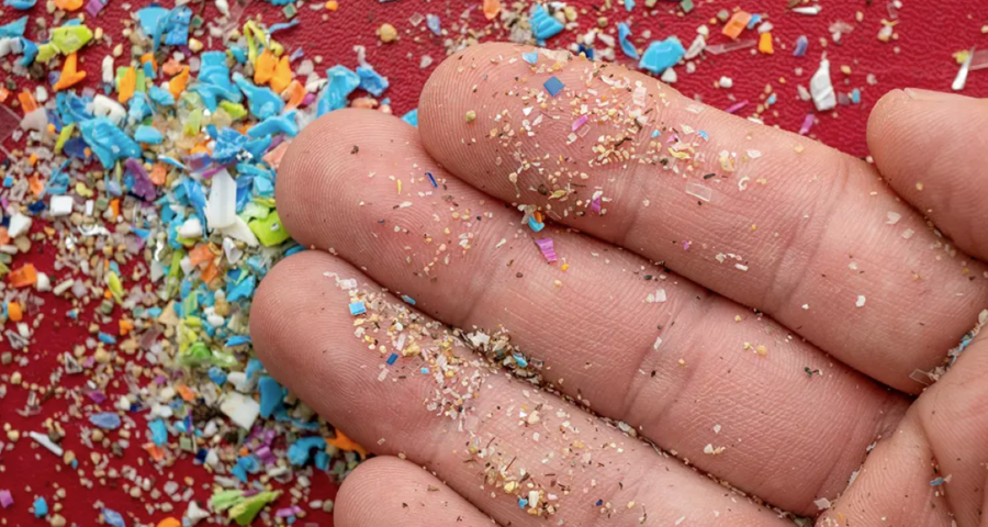 Microplásticos foram encontrados em cérebro humano pela primeira vez. Foto: Getty Images/Reprodução