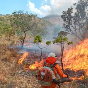 novo boletim climático