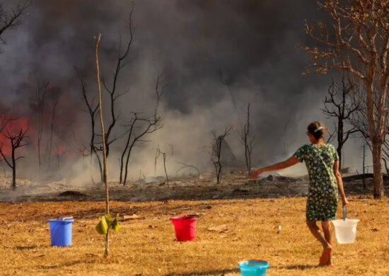 Incêndio atingiu o Parque Nacional de Brasília - Foto: Agência Brasil