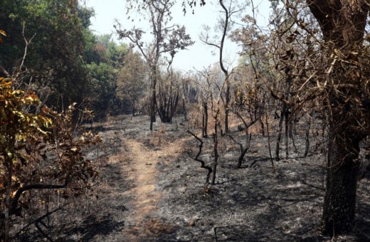 Parque Nacional intensifica fiscalização para evitar novos incêndios