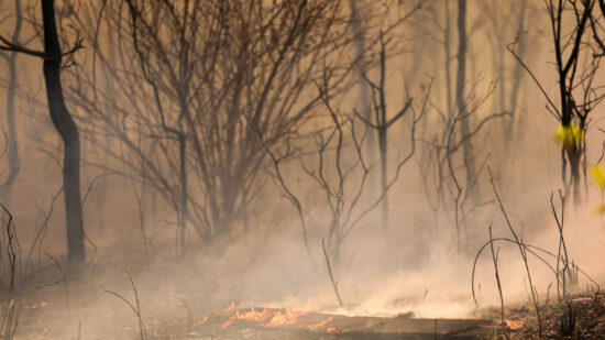 Governo anuncia medidas para combater incêndios e seca que assolam o país.