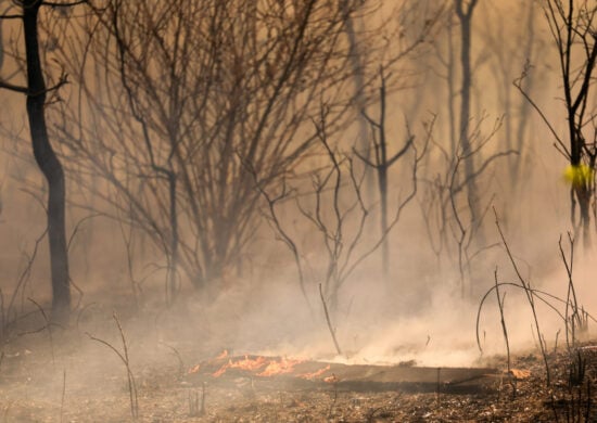 Governo anuncia medidas para combater incêndios e seca que assolam o país.