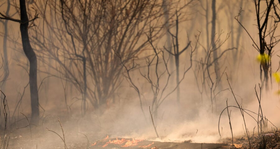 Governo anuncia medidas para combater incêndios e seca que assolam o país.