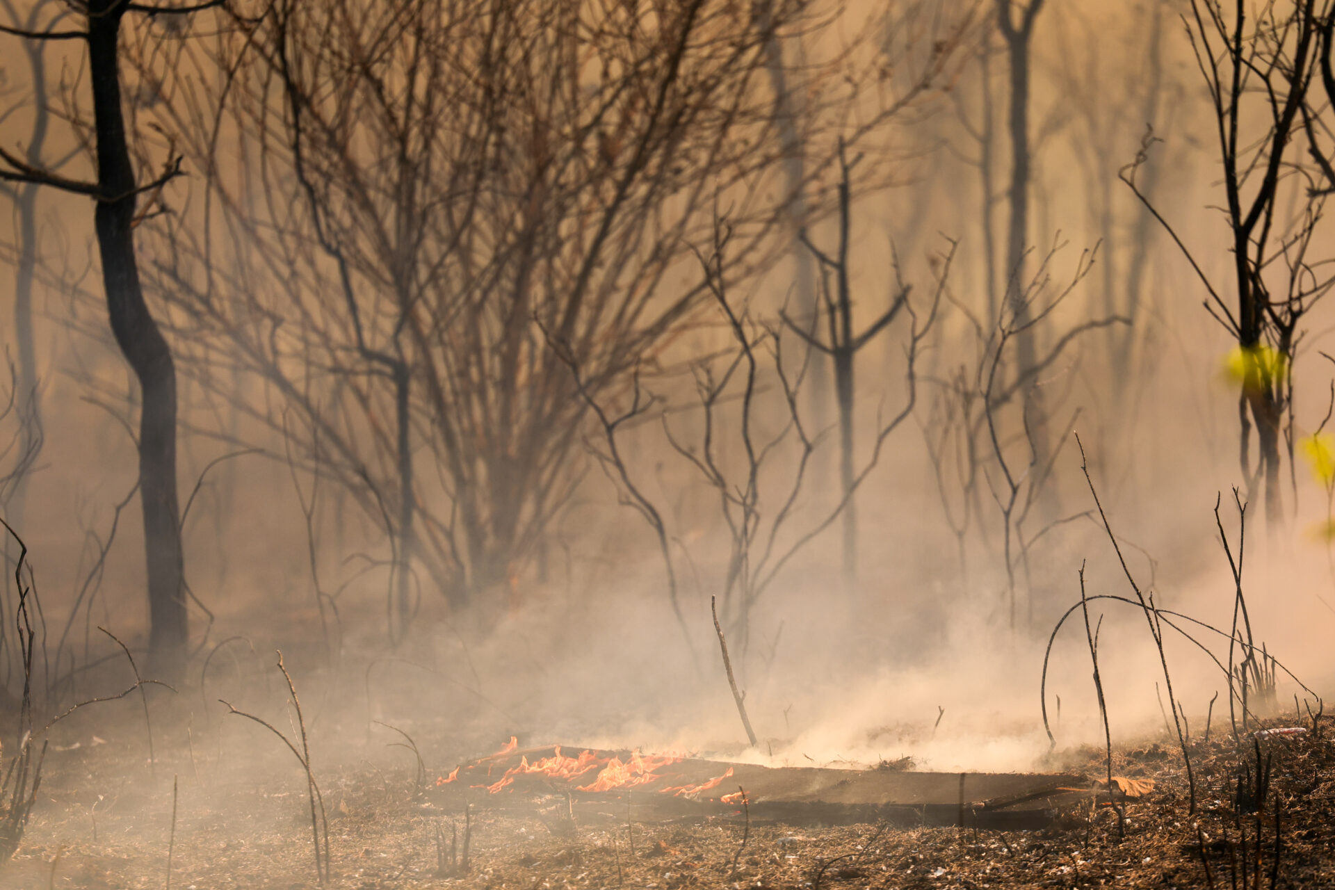 Governo anuncia medidas para combater incêndios e seca que assolam o país.