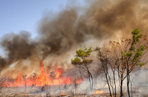 Incêndios no Parque Nacional de Brasília provocam manhã de fumaça densa