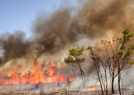 Incêndios no Parque Nacional de Brasília provocam manhã de fumaça densa