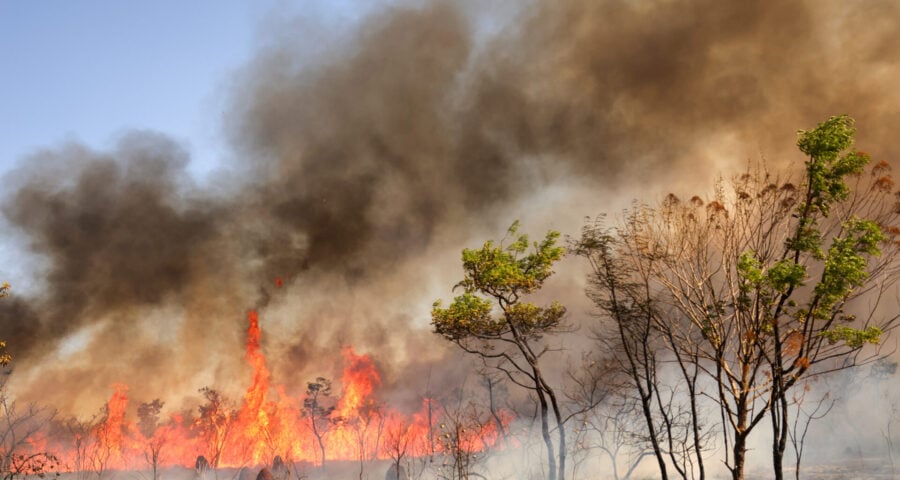 Incêndios no Parque Nacional de Brasília provocam manhã de fumaça densa