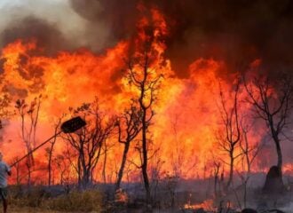 Incêndio atingiu o Parque Nacional de Brasília - Foto: Fabio Rodrigues-Pozzebom