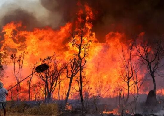 Incêndio atingiu o Parque Nacional de Brasília - Foto: Fabio Rodrigues-Pozzebom