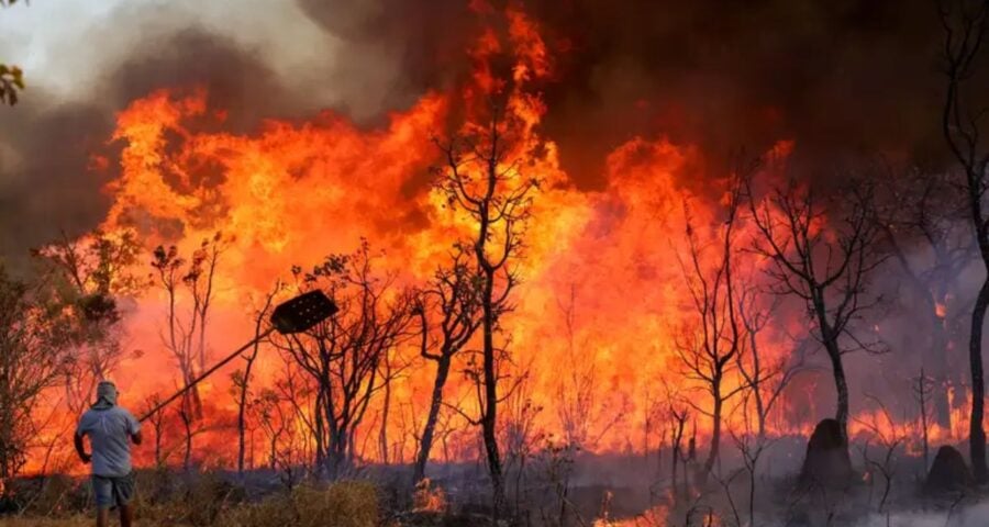 Incêndio atingiu o Parque Nacional de Brasília - Foto: Fabio Rodrigues-Pozzebom