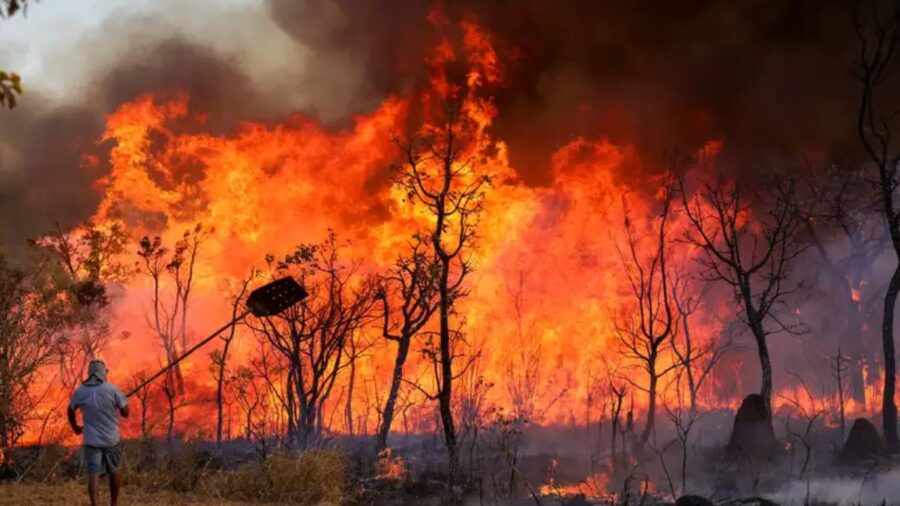 Incêndio atingiu o Parque Nacional de Brasília - Foto: Fabio Rodrigues-Pozzebom