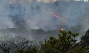 Ipec: 44% dos brasileiros têm opinião negativa sobre gestão de Lula no meio ambiente