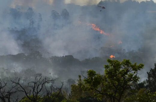 Ipec: 44% dos brasileiros têm opinião negativa sobre gestão de Lula no meio ambiente