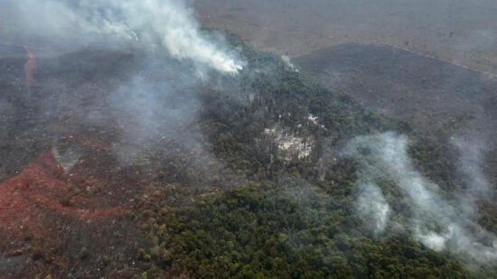 Incêndios florestais no DF podem ser causados por grileiros, apontam investigações