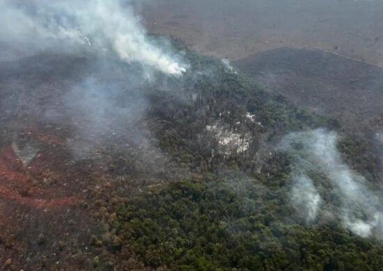 Incêndios florestais no DF podem ser causados por grileiros, apontam investigações