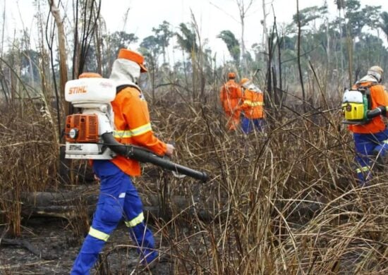 A qualidade do ar em Rondônia se deve as queimadas. Foto: Agência Brasil