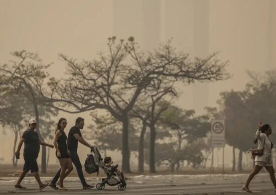 O clima seco e a baixa umidade do ar favorecem a propagação do fogo - Foto: Marcelo Camargo/Agência Brasil