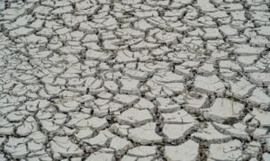 Com previsão de pouca chuva, seca ainda deve prejudicar grande parte do país