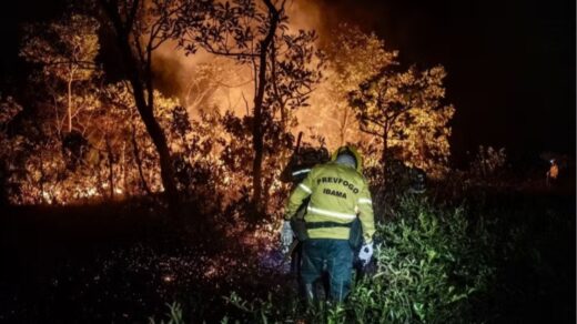 Rondônia registrou 970 prisões por crimes ambientais de janeiro a setembro de 2024. Foto: Reprodução