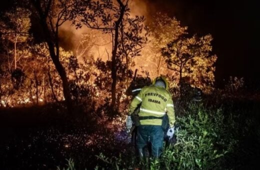 Rondônia registrou 970 prisões por crimes ambientais de janeiro a setembro de 2024. Foto: Reprodução