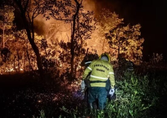 Rondônia registrou 970 prisões por crimes ambientais de janeiro a setembro de 2024. Foto: Reprodução