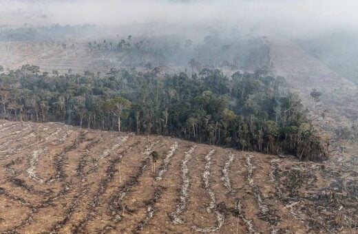 Rondônia triplica em focos de queimada comparado ao início do ano. Foto: Reprodução Agência Brasil