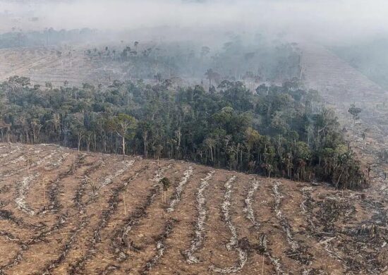 Rondônia triplica em focos de queimada comparado ao início do ano. Foto: Reprodução Agência Brasil