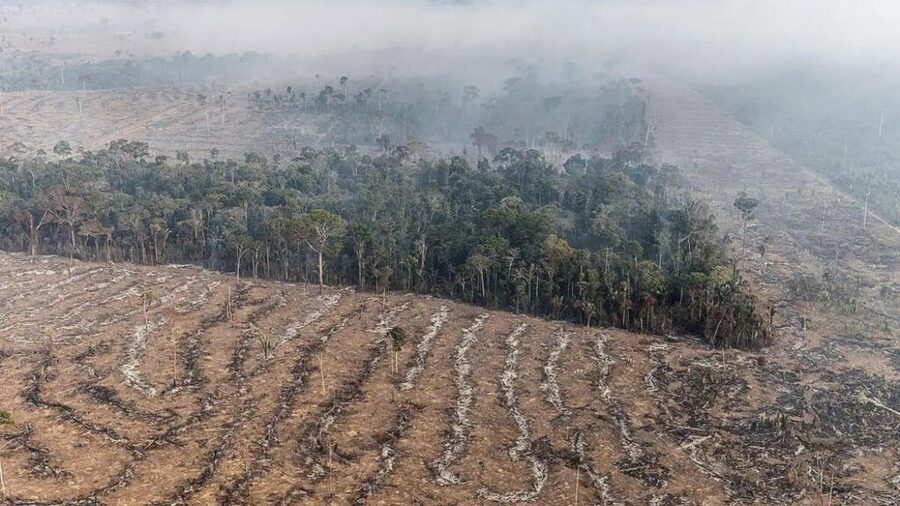 Rondônia triplica em focos de queimada comparado ao início do ano. Foto: Reprodução Agência Brasil