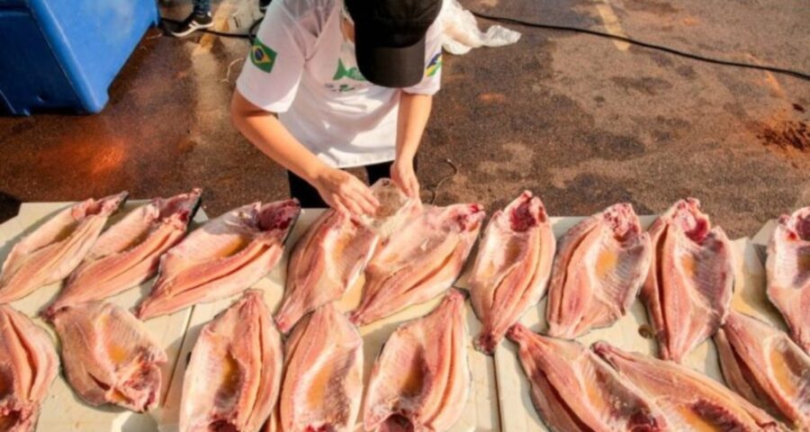 Rondônia se destaca na produção de tambaqui em 2023. Foto: Governo do Estado de Rondônia