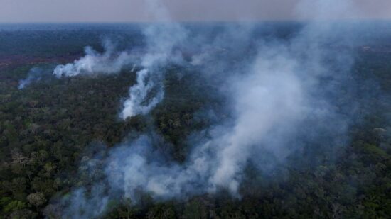 AGU cobra R$ 89 milhões por queimadas em vegetação nativa no AM, RO e PA.Foto de Michael Dantas/AFP