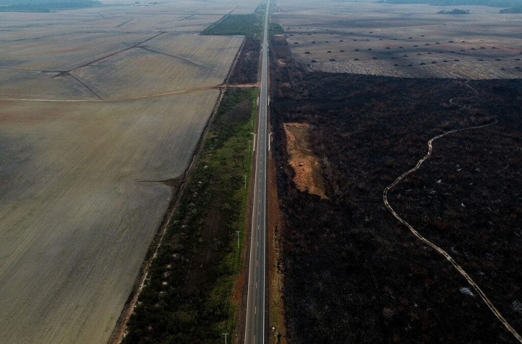 AMAZÔNIA SAVANA DESMATAMENTO-CAPA