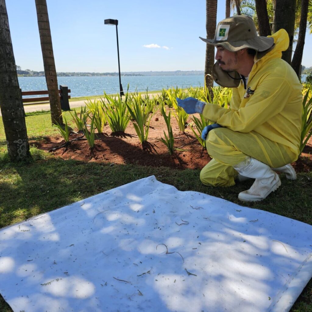 Febre maculosa no DF alerta população e SES-DF investiga possíveis carrapatos contaminados. Foto: Jurana Lopes/ Agência Saúde-DF