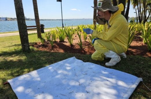 Febre maculosa no DF alerta população e SES-DF investiga possíveis carrapatos contaminados. Foto: Jurana Lopes/ Agência Saúde-DF