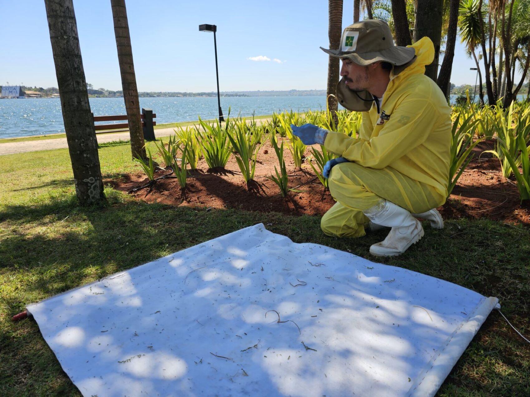 Febre maculosa no DF alerta população e SES-DF investiga possíveis carrapatos contaminados. Foto: Jurana Lopes/ Agência Saúde-DF