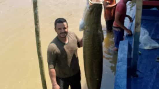 pescadores pirarucu gigante-capa