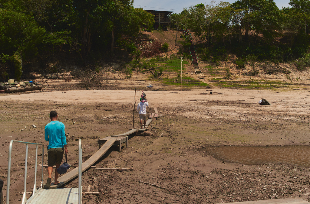 Ações em bioeconomia podem reduzir risco de catástrofes como a seca na Amazônia - Foto: Divulgação/Rodolfo Pongelupe